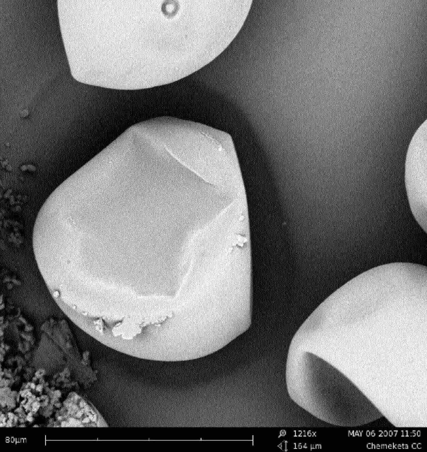 扫描电镜助力法医发现蛛丝马迹