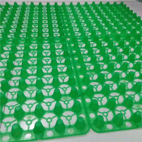 朝阳-塑料排水板生产厂家货源充足支持定制