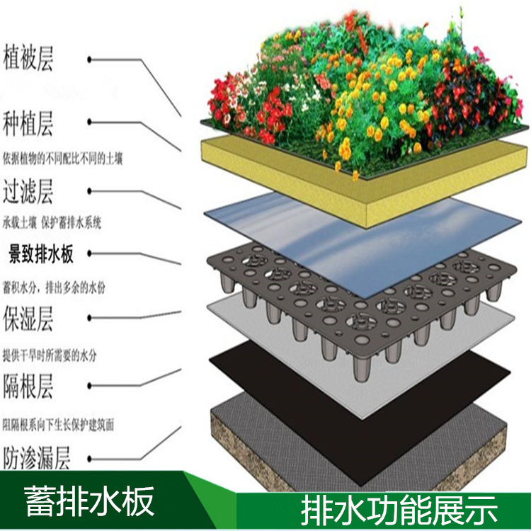 四川阿坝藏族羌族自治州车库顶板塑料排水板型号齐全欢迎洽谈