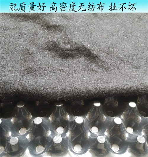 黄山市塑料排水板生产厂家欢迎您
