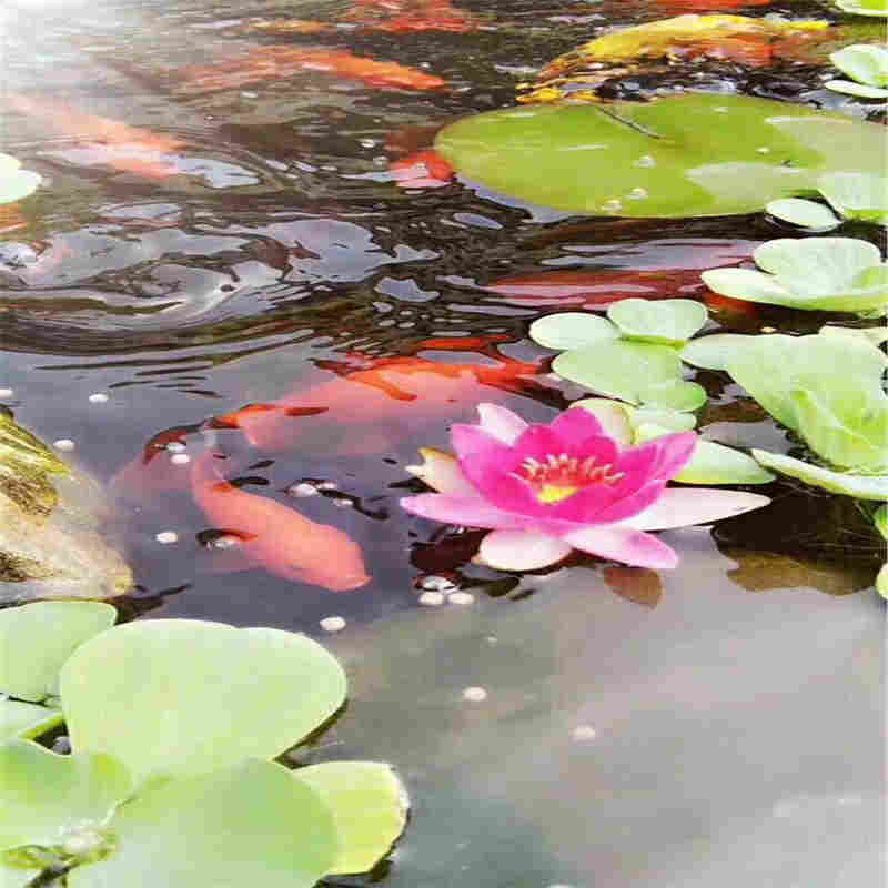 欢迎——江苏徐州厂家排名——江苏徐州口碑生产厂家