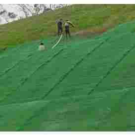 揭阳三维植被网————揭阳欢迎您