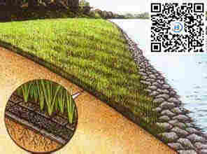 揭阳三维植被网————揭阳欢迎您