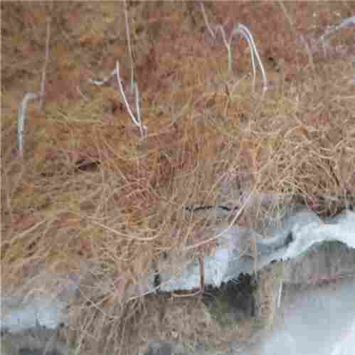 长治椰丝生态植生毯/价格)(长治生态袋厂家)