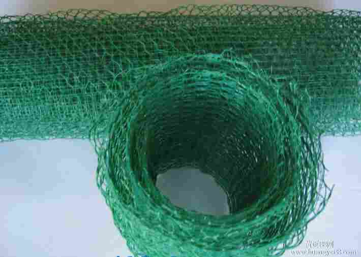 欢迎——郴州三维植被网(郴州,欢迎您)