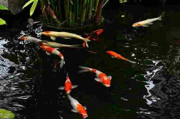 欢迎访问——广东HDPE土工膜——(广东实业集团)