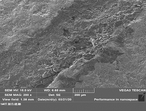 不锈钢三通管泄漏分析-失效分析案例