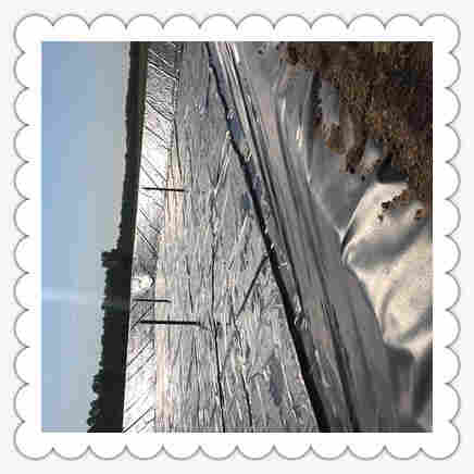 ((欢迎莅临))丽水高密度聚土工膜——(实业)