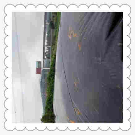 ((欢迎莅临))泰州黑膜沼气池(实业集团欢迎你)