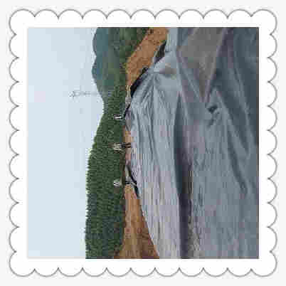 ((欢迎莅临))遂宁鱼塘防渗膜——((欢迎莅临)本集团