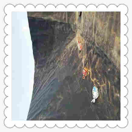 ((欢迎莅临))鹤岗防渗膜厂家-欢迎您