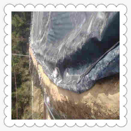 ((欢迎莅临))黑河复合土工膜生产厂家——欢迎您