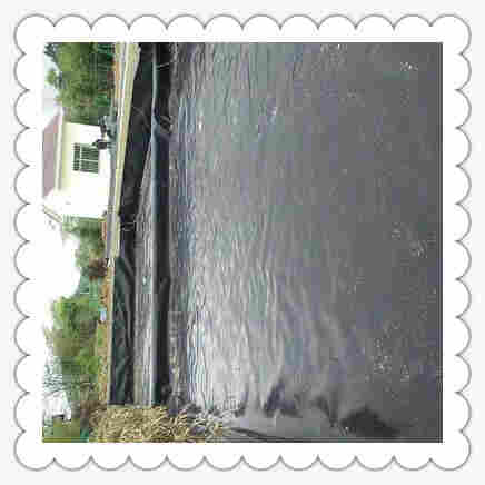 ((欢迎莅临))昭通HDPE土工膜(实业集团欢迎你)