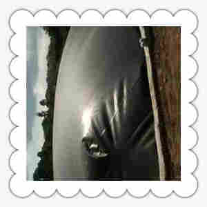 ((欢迎莅临))温州土工膜—集团、代理商、有卖的、什么价格