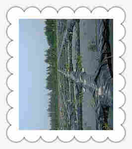 ((欢迎莅临))东莞HDPE土工膜——(实业)