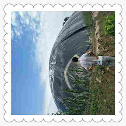 ((欢迎莅临))宜春复合土工膜——欢迎您)