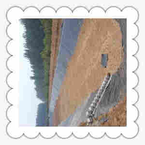 ((欢迎莅临))厦门复合土工膜——本地公司