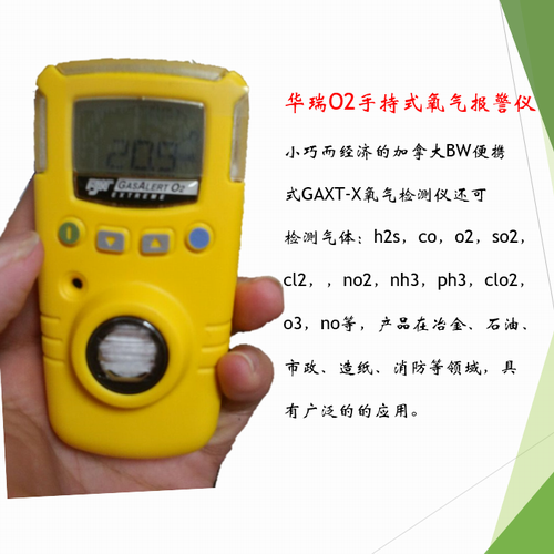 BW GAXT系列單一有毒氣體檢測儀