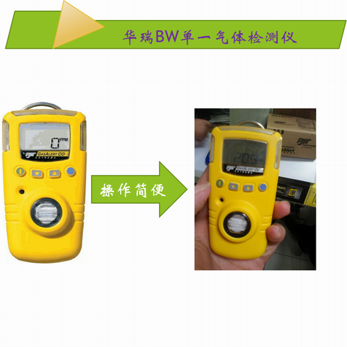 BW GAXT系列單一有毒氣體檢測儀