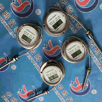 泰顺县DTM-491电子温度计型号	