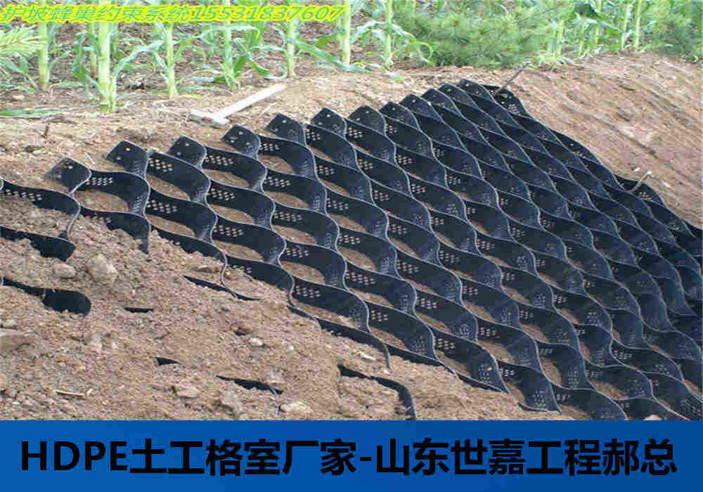 邵阳土工格室厂家郝