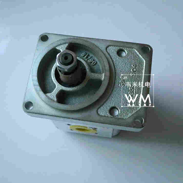 0510625022齿轮泵原理