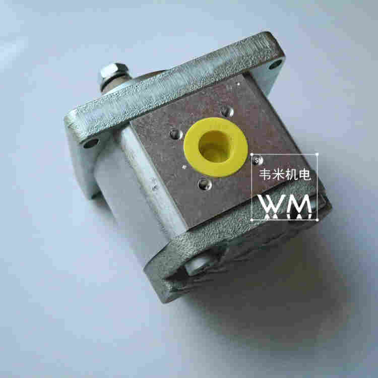 0510625022齿轮泵原理