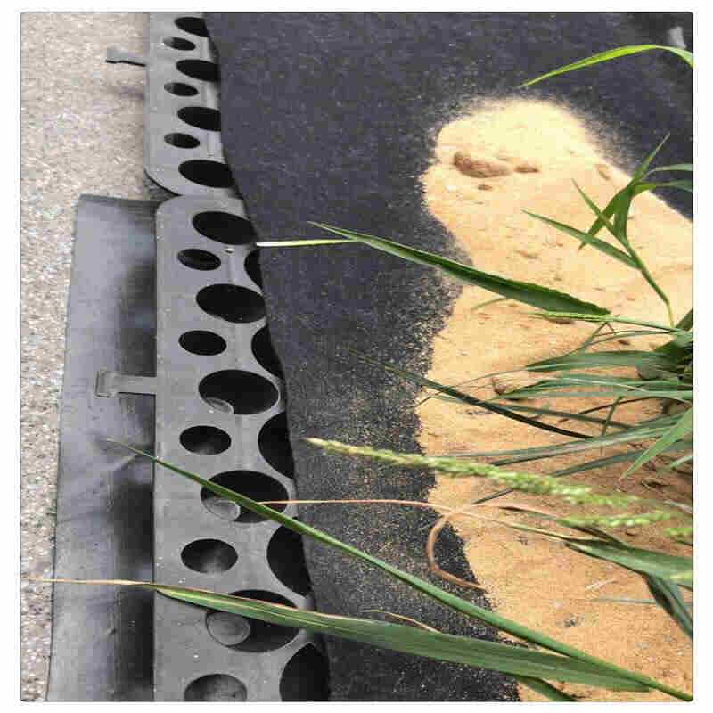 供应——四川德阳蓄排水板有——四川德阳生产厂家