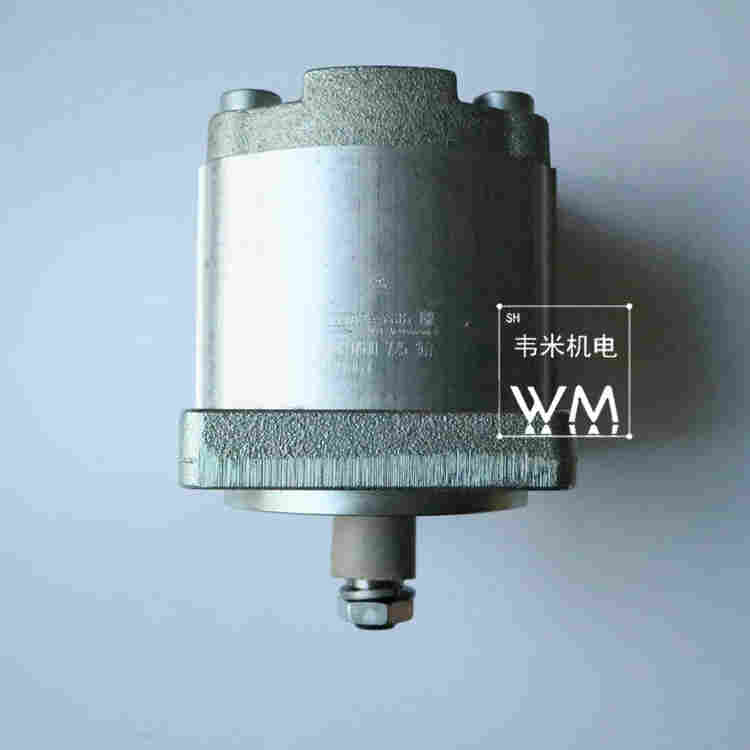 0510625022齿轮泵原理