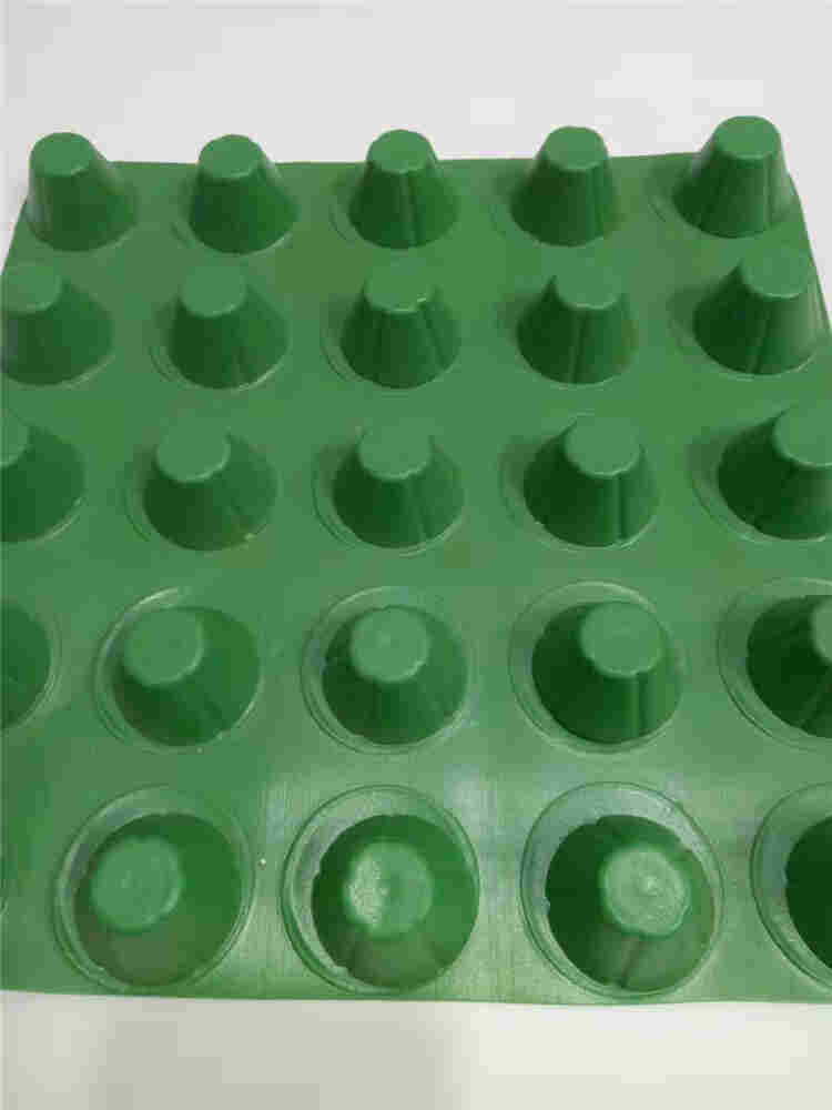 欢迎来访:滨州排水板-本地发货