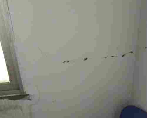 德格县安全性检测 工程质量检测