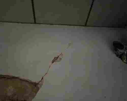 甘孜藏族自治州房屋承重结构检测鉴定项目