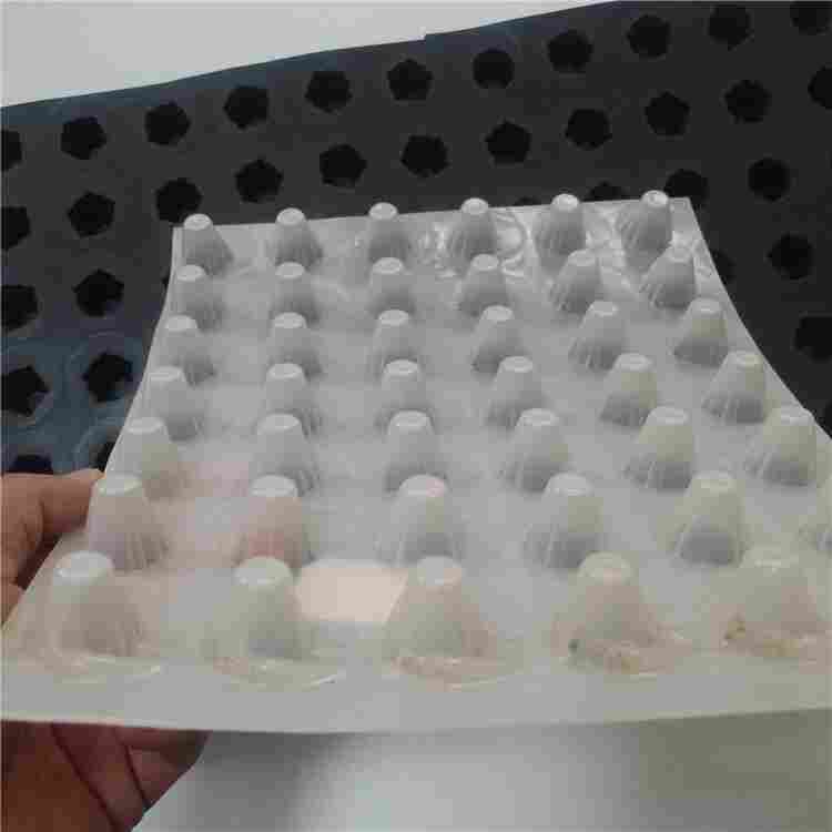 四川地下室排水板——(四川集团欢迎您) 四川地下室排水板——(四川集团欢迎您)