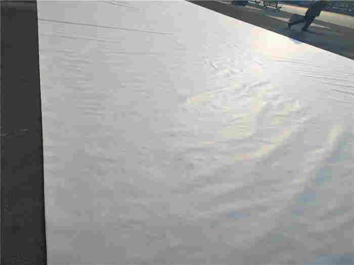 安庆市复合土工膜  土工膜