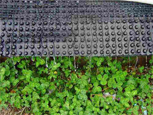 台州市排水板  复合排水板价格