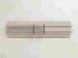 小鼠社会支配实验方法（social dominance tube test）