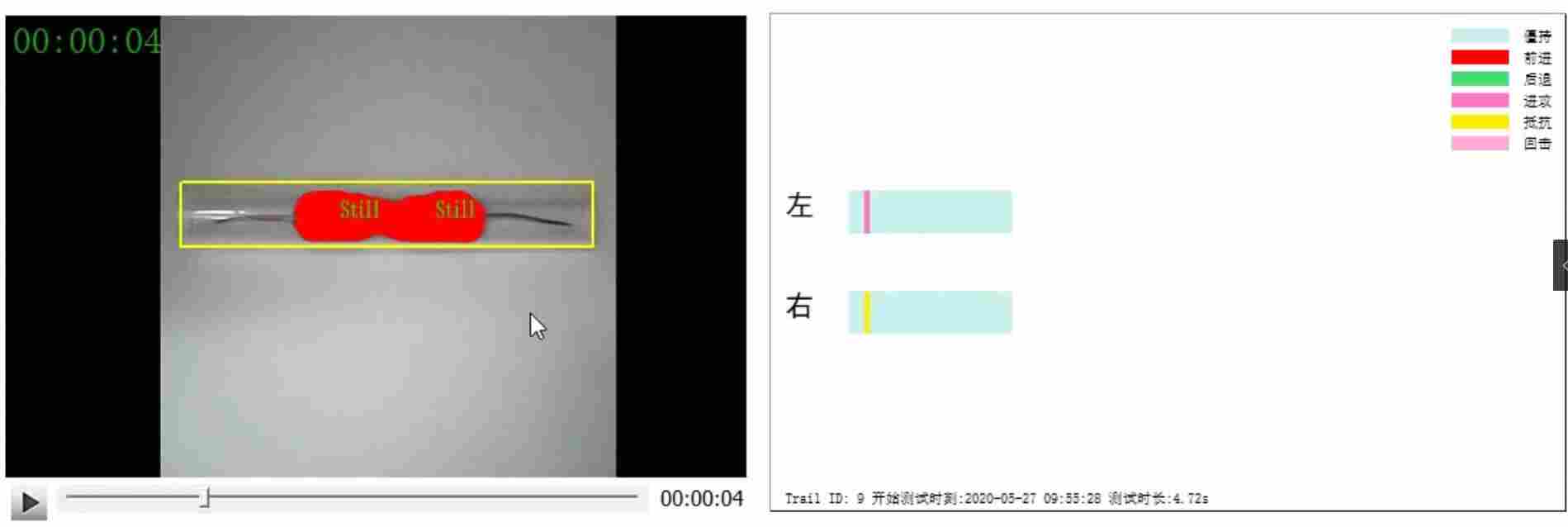小鼠社会支配实验方法（social dominance tube test）