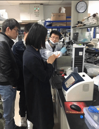 德国Bruker布鲁克电子顺磁共振波谱仪