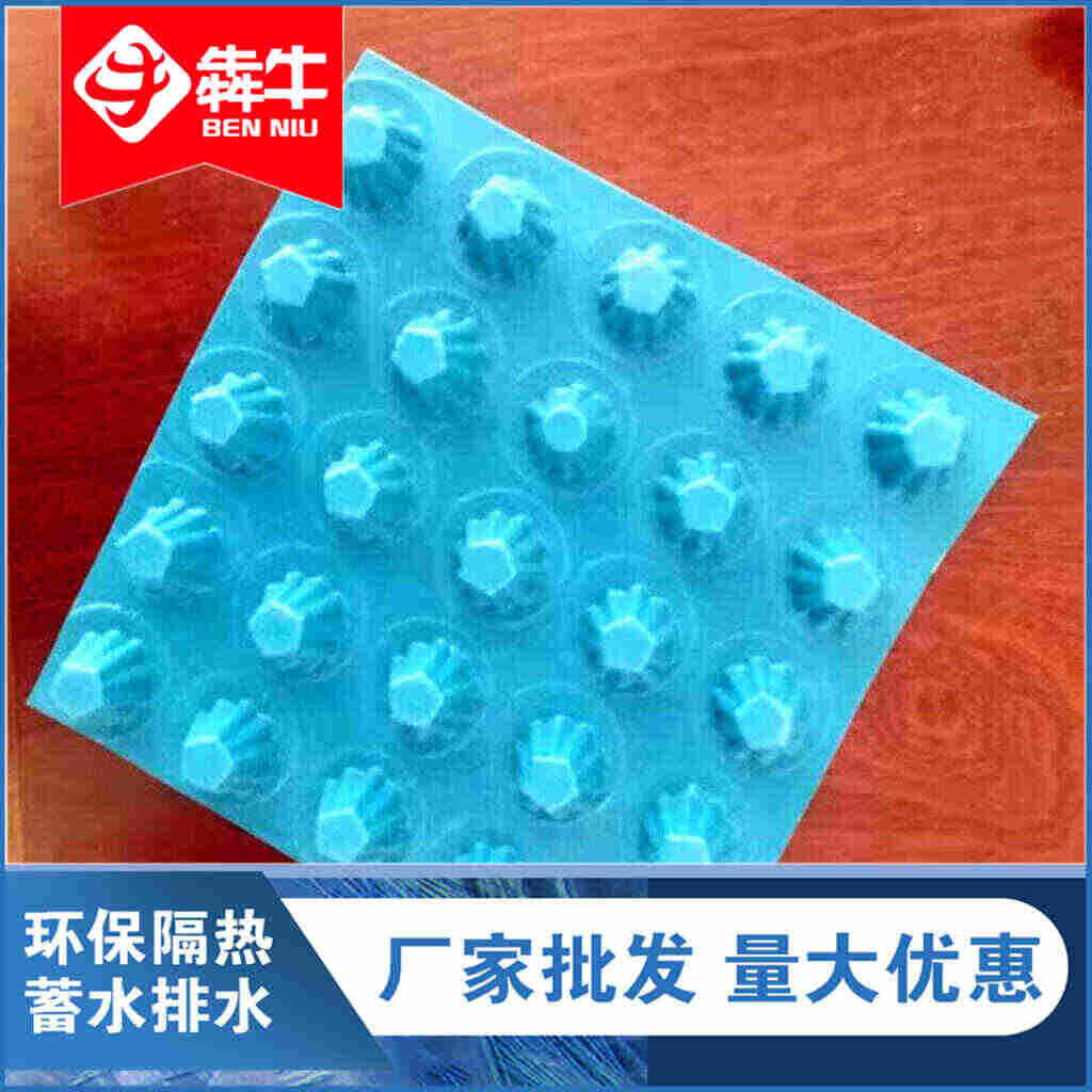 ：宁波排水板本地发货