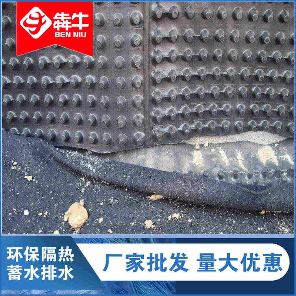 ：宁波排水板本地发货