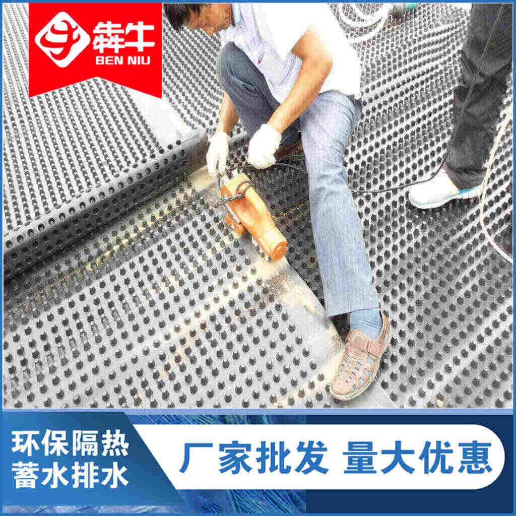 厂车发货：红河排水板(厂家直发）