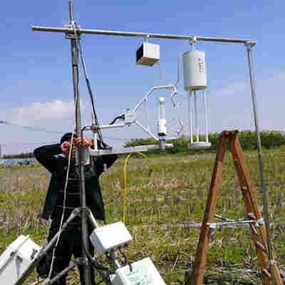 海尔欣*开展农田氨排放通量测试实验