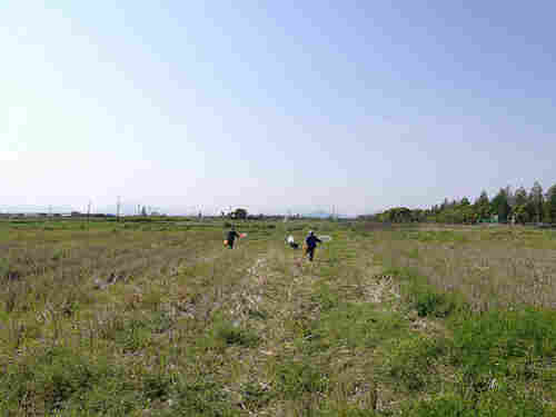 海尔欣*开展农田氨排放通量测试实验