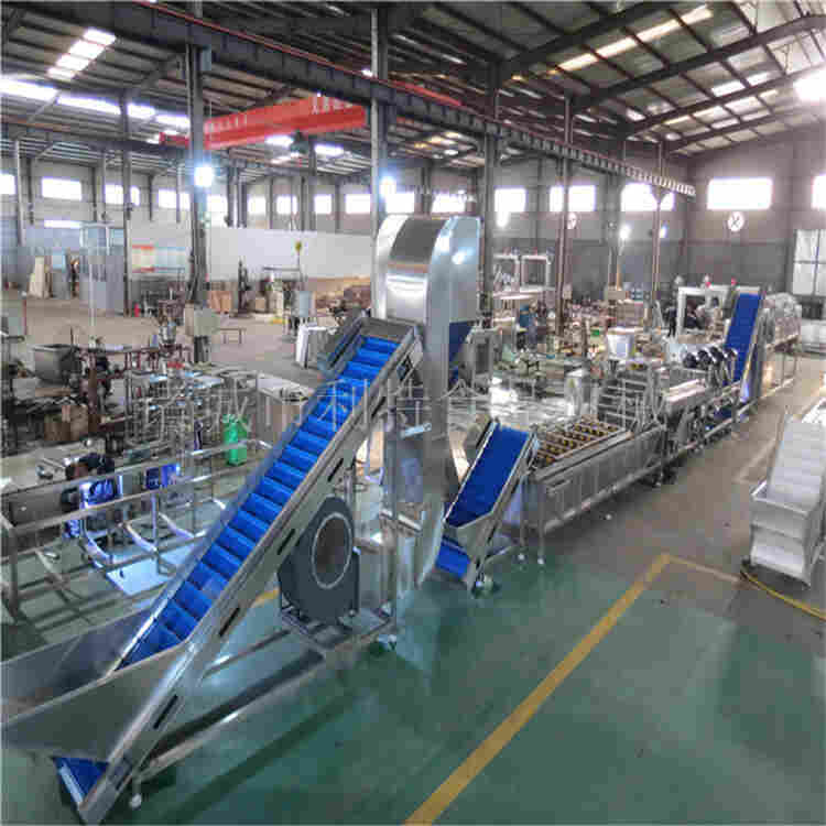 大枣清洗风干生产线