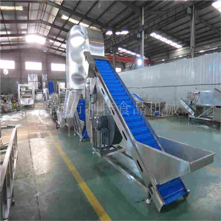 大枣清洗风干生产线