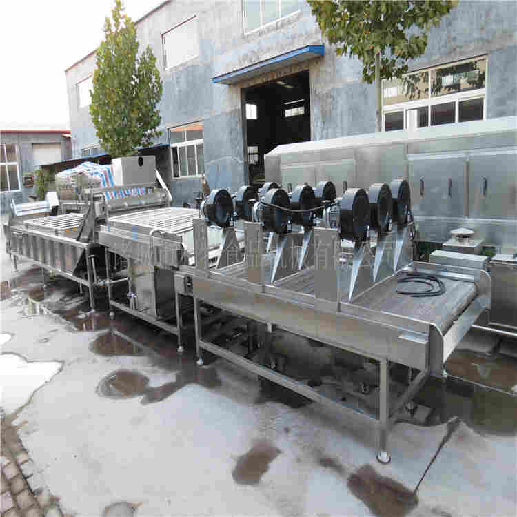 大枣清洗风干生产线