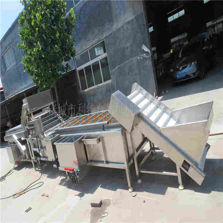 新疆大枣清洗机用途