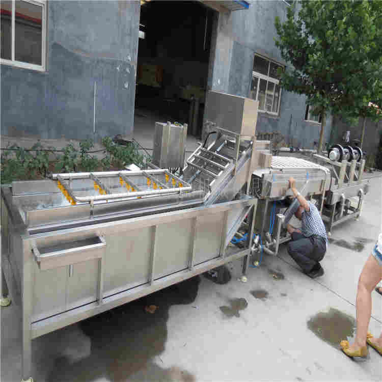 新疆大枣清洗机用途