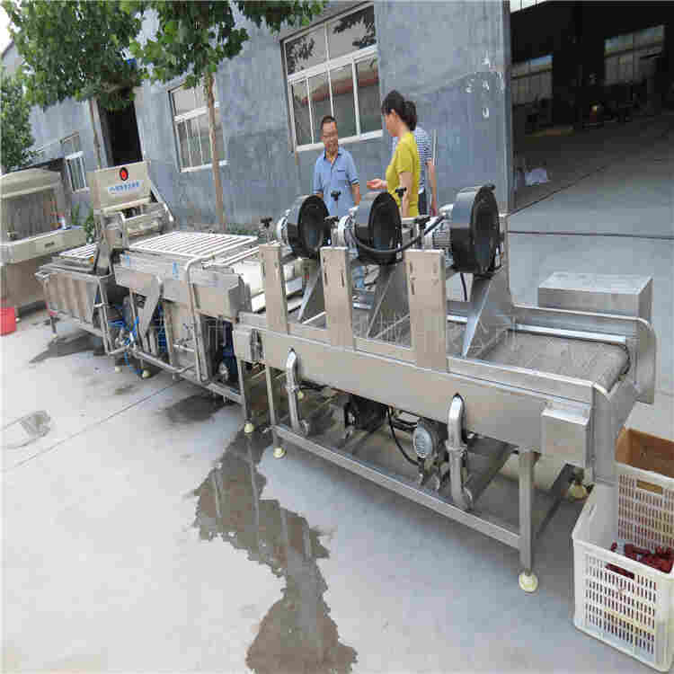 新疆大枣清洗机用途