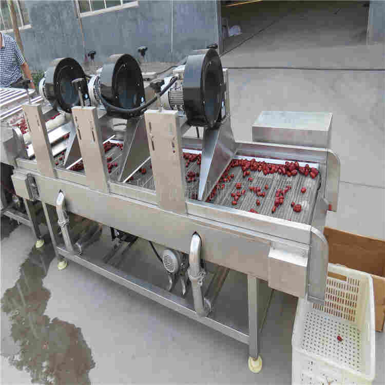 新疆大枣清洗机用途